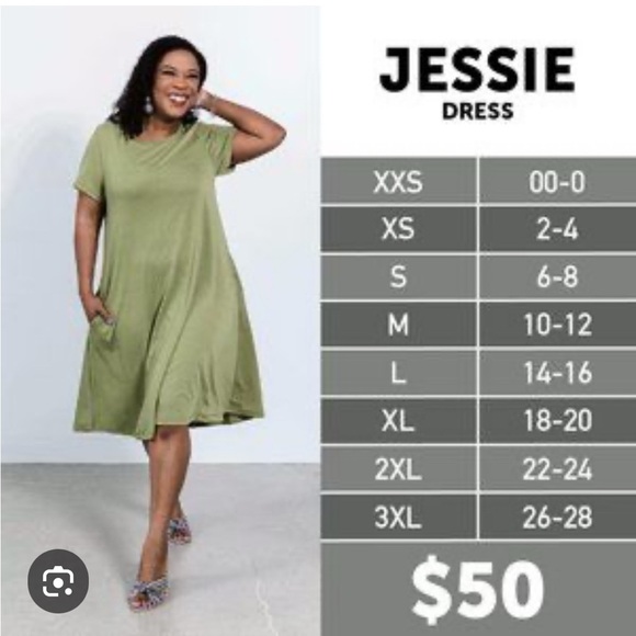 LuLaRoe Jessie Swing Dress - Picture 3 of 3